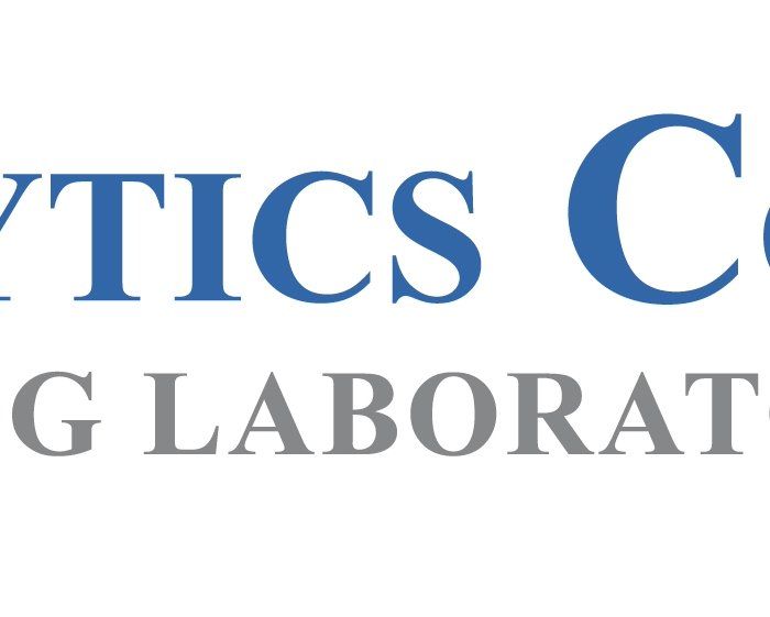 Customer Analytics Consulting